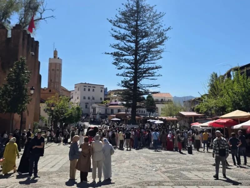 Busy square below a minaret and a tall pine tree in Chefchaouen