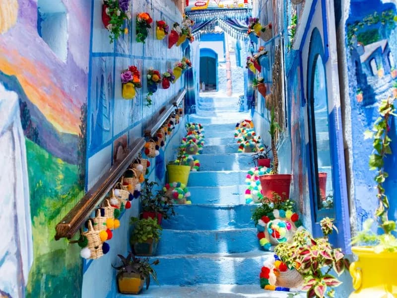 Narrow blue stairway lined with flower pots in Chefchaouen