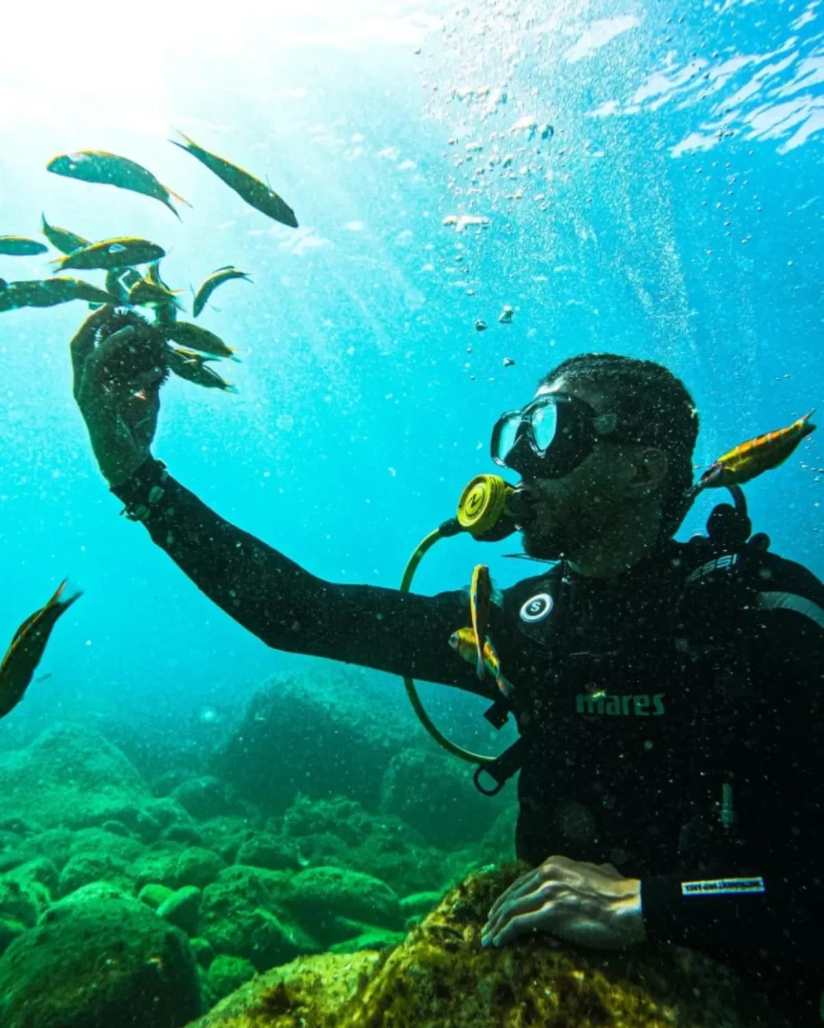 Diver holding out a hand to small fish underwater